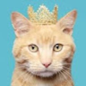 Meet your Posher, Cyntia